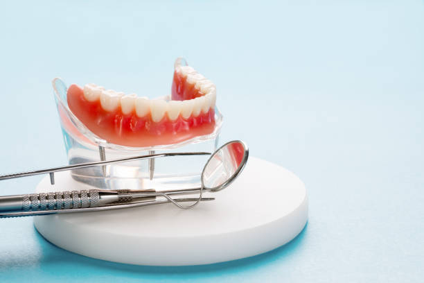 Reliable Newport, NC  Holistic Dental Services Solutions